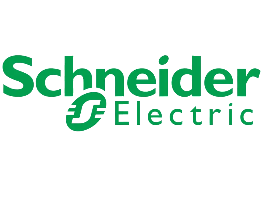 schneider czysty